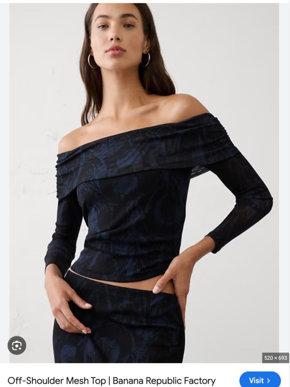 Banana Republic Factory Off-Shoulder Mesh Top in blue feather color (medium)